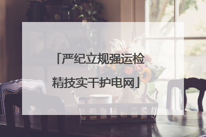 严纪立规强运检 精技实干护电网