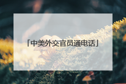中美外交官员通电话