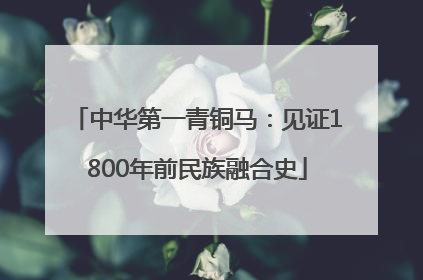 中华第一青铜马：见证1800年前民族融合史