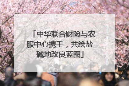 中华联合财险与农服中心携手，共绘盐碱地改良蓝图