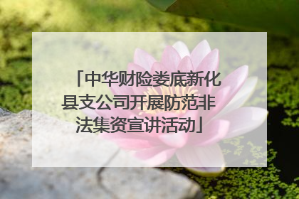 中华财险娄底新化县支公司开展防范非法集资宣讲活动