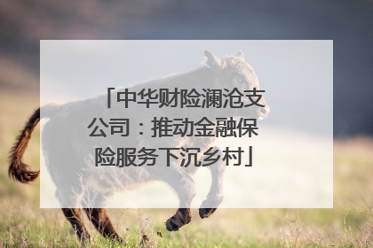 中华财险澜沧支公司：推动金融保险服务下沉乡村