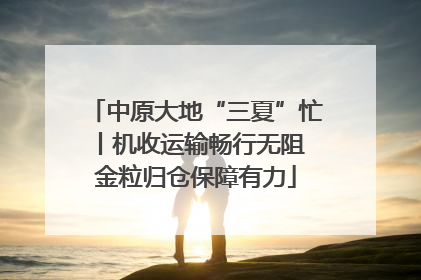 中原大地“三夏”忙丨机收运输畅行无阻 金粒归仓保障有力