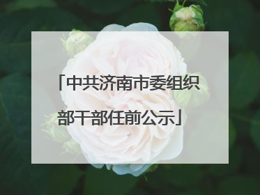 中共济南市委组织部干部任前公示