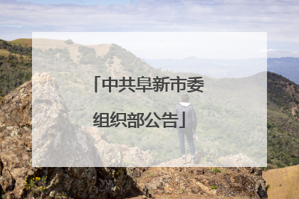 中共阜新市委组织部公告