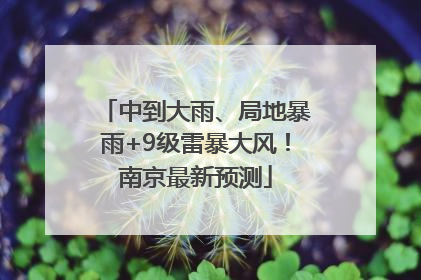 中到大雨、局地暴雨+9级雷暴大风！南京最新预测