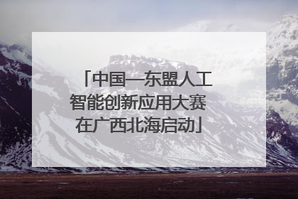 中国—东盟人工智能创新应用大赛在广西北海启动