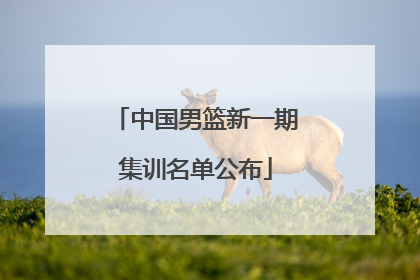 中国男篮新一期集训名单公布