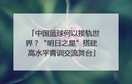 中国篮球何以接轨世界？“明日之星”搭建高水平青训交流舞台
