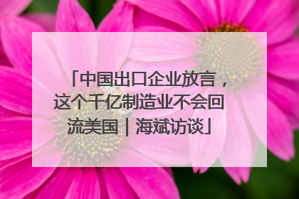 中国出口企业放言，这个千亿制造业不会回流美国｜海斌访谈