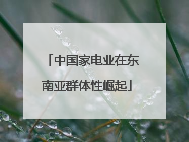 中国家电业在东南亚群体性崛起