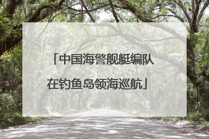 中国海警舰艇编队在钓鱼岛领海巡航