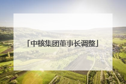 中核集团董事长调整
