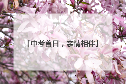 中考首日，亲情相伴