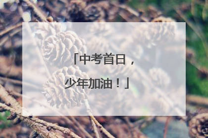 中考首日，少年加油！