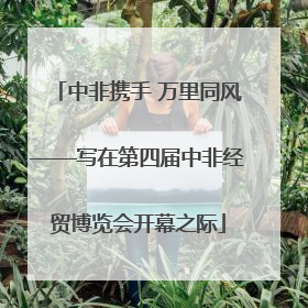 中非携手 万里同风——写在第四届中非经贸博览会开幕之际