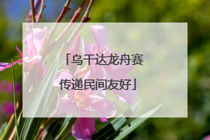 乌干达龙舟赛传递民间友好