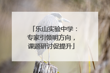 乐山实验中学：专家引领明方向，课题研讨促提升