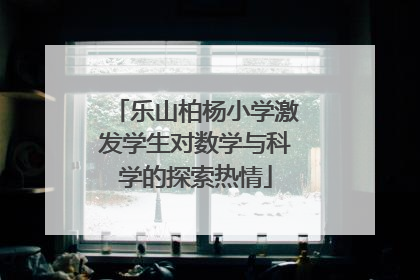 乐山柏杨小学激发学生对数学与科学的探索热情