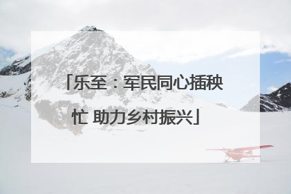 乐至：军民同心插秧忙 助力乡村振兴
