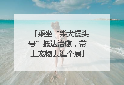 乘坐“柴犬馒头号”抵达治愈，带上宠物去逛个展