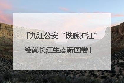 九江公安“铁腕护江”绘就长江生态新画卷