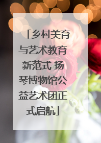 乡村美育与艺术教育新范式 扬琴博物馆公益艺术团正式启航