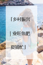 乡村振兴｜业旺鱼肥夏捕忙