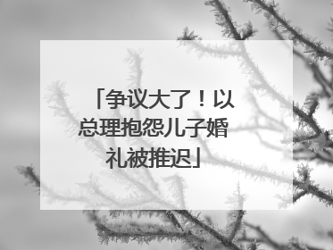 争议大了！以总理抱怨儿子婚礼被推迟