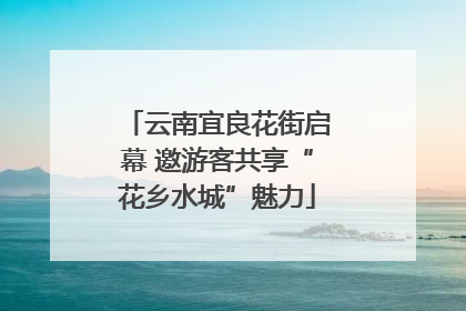 云南宜良花街启幕 邀游客共享“花乡水城”魅力