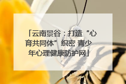 云南景谷：打造“心育共同体”织密 青少年心理健康防护网