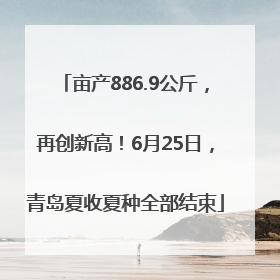 亩产886.9公斤，再创新高！6月25日，青岛夏收夏种全部结束