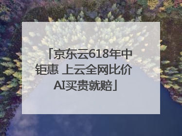 京东云618年中钜惠 上云全网比价 AI买贵就赔