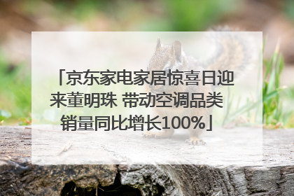 京东家电家居惊喜日迎来董明珠 带动空调品类销量同比增长100%