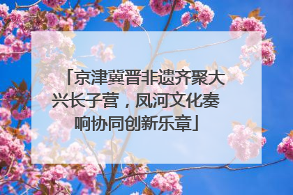 京津冀晋非遗齐聚大兴长子营，凤河文化奏响协同创新乐章