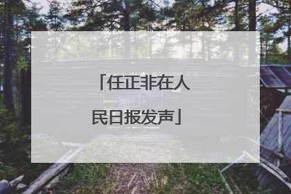 任正非在人民日报发声