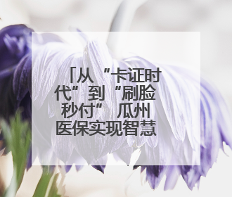 从“卡证时代”到“刷脸秒付” 瓜州医保实现智慧跃迁