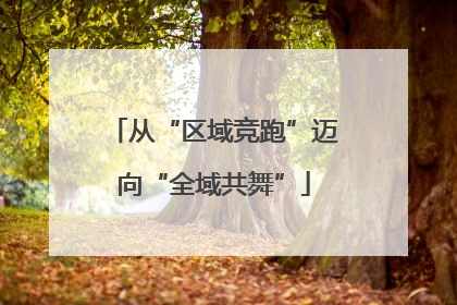 从“区域竞跑”迈向“全域共舞”