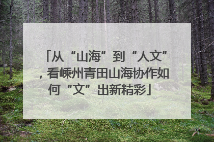 从“山海”到“人文”，看嵊州青田山海协作如何“文”出新精彩