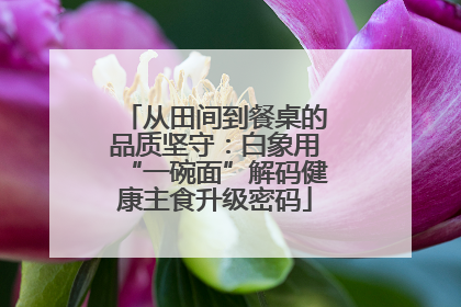 从田间到餐桌的品质坚守：白象用“一碗面”解码健康主食升级密码