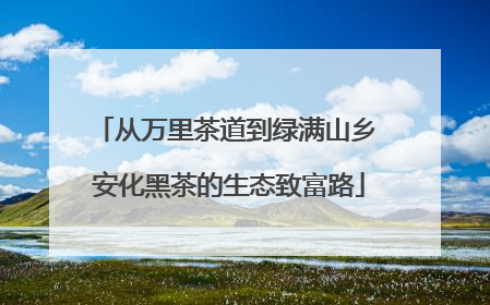 从万里茶道到绿满山乡 安化黑茶的生态致富路