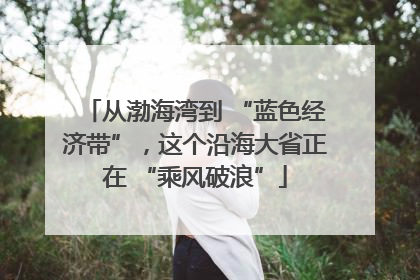 从渤海湾到 “蓝色经济带”，这个沿海大省正在 “乘风破浪”