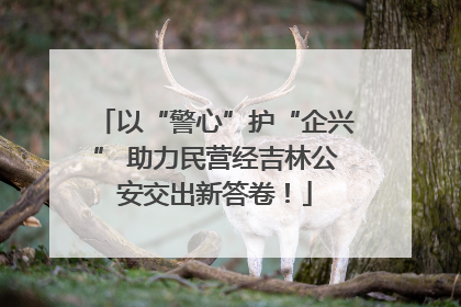 以“警心”护“企兴” 助力民营经吉林公安交出新答卷！