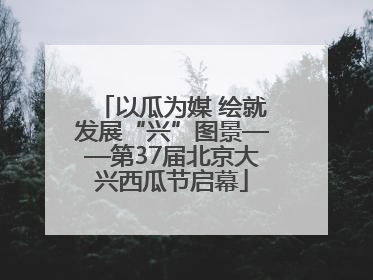 以瓜为媒 绘就发展“兴”图景——第37届北京大兴西瓜节启幕
