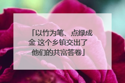 以竹为笔、点绿成金 这个乡镇交出了他们的共富答卷