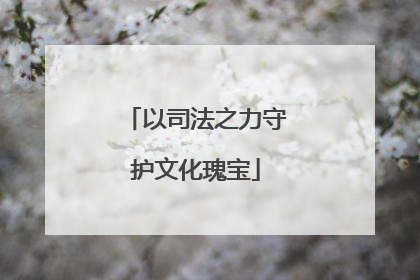 以司法之力守护文化瑰宝