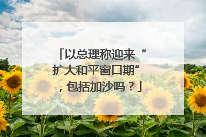以总理称迎来“扩大和平窗口期”，包括加沙吗？