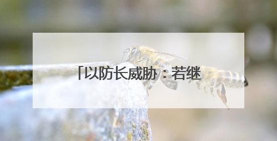 以防长威胁：若继续向以发射导弹，德黑兰将化为火海