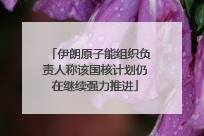 伊朗原子能组织负责人称该国核计划仍在继续强力推进
