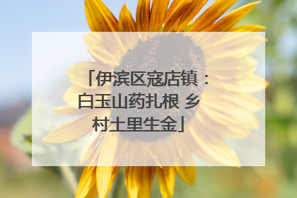 伊滨区寇店镇：白玉山药扎根 乡村土里生金